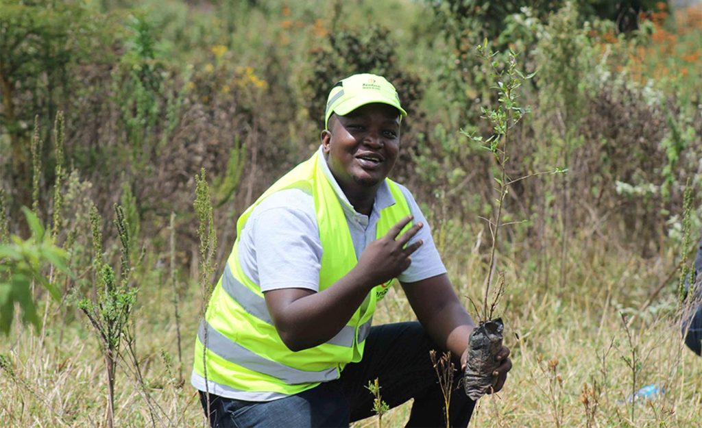 Tree_planting-01