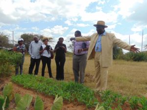 Bishop Masika and the KenGen team at one of his maize nurseries